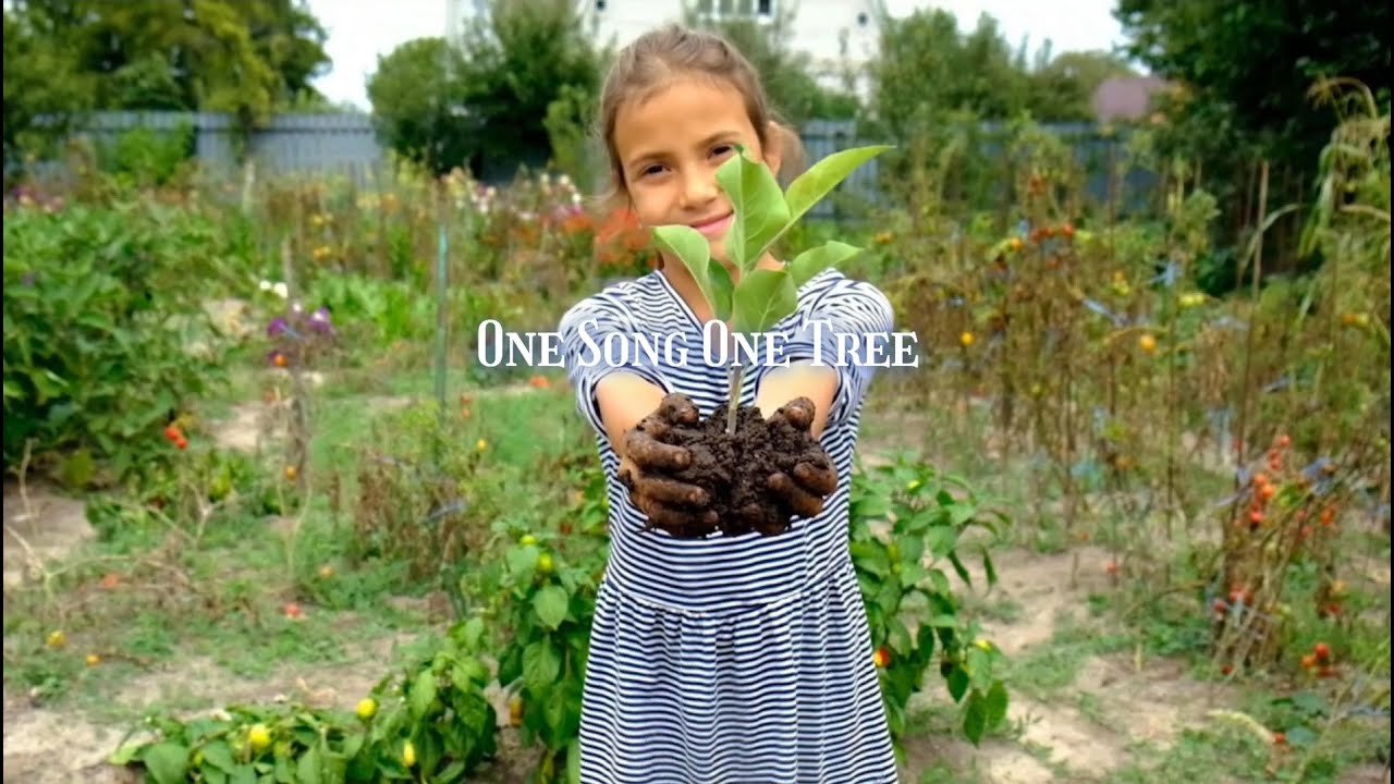 DREAM Team Project - HUMAN RACE | ForestNation Official Music Video Teaser