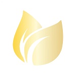 Earnfinex (EFX) logo