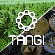 Tangi