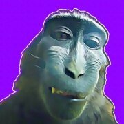 Rizzmonkey