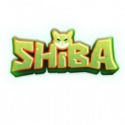Shiba Infinity