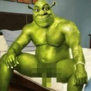 Shrek Nudes Shrek Nudes