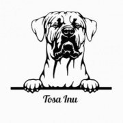 TOSA INU