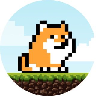 PlayDoge