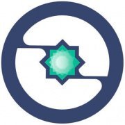Insights Network