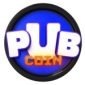 Pubgame-logo