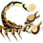 Scorpion Casino