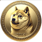 Doge2014