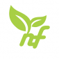 nerveflux ico