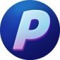 PlayerMon (PYM) logo