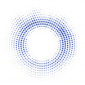 TORUS (TORUS) LOGO
