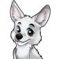 Snow Fox (SNOWFOX)logo